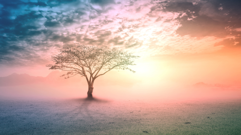The Nicole Series Part 3: The Father Wound & Inner-Child Roots of Abandonment Anxiety