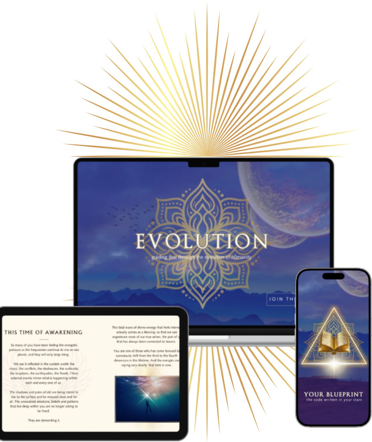 Evolution on a laptop, tablet and phone